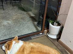 -肥朵食堂(带梦胡同店)