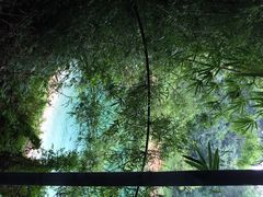 流溪河国家森林公园-广州市流溪河国家森林公园