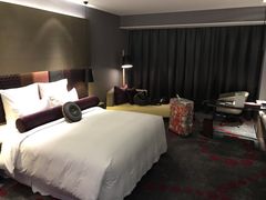 -南京禄口机场雅高铂尔曼大酒店