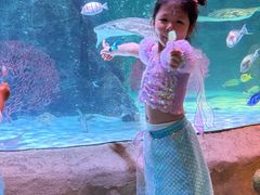 -沈阳海洋探索中心