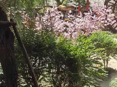 -竹泉村旅游度假区