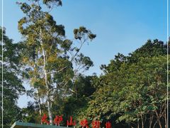 -火炉山森林公园