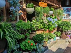 -龙姐私房菜(和顺古镇店)