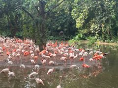 -广州长隆国际大马戏