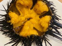 -海胆小馆(东北水饺·春柳店)