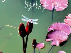 -国家植物园南园