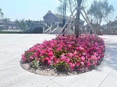 -长春北湖公园