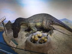 -国家自然博物馆