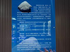 -贝壳王国博物馆