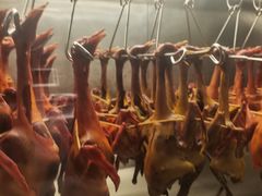 -鸽子侯·家宴·平价海鲜(绿地店)