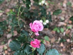 -苏州河梦清园环保主题公园