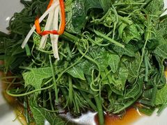 -丹江渔村(望京店)