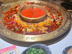 美蛙锅-哥老官重庆美蛙鱼头(松江地中海十八哥店)