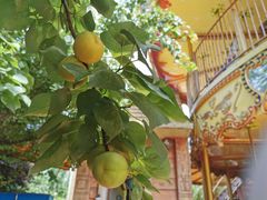 -郑州方特梦幻王国