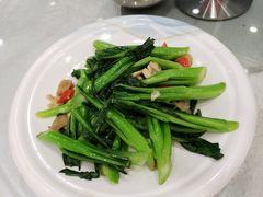 生炒菜心-姚林轩