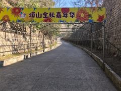 -北京十三陵国家森林公园蟒山景区