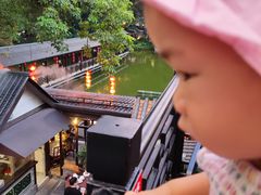 -侨美·唐荔园·40年地道粤菜