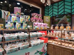 零售区-麦尔乐动物奶油生日蛋糕(新华店)