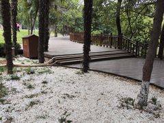 -西苑公园