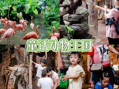 -长鹿旅游休博园