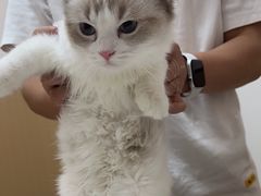 -瑞派康怡24h宠物医院·犬猫医疗中心·微创绝育(瑞景分院)