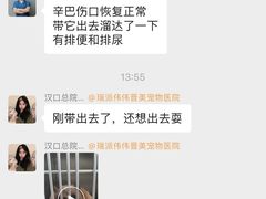 -伟伟宠物医院·CT影像中心·瑞派犬猫综合性门诊(汉口总院)