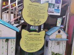 -猫咪博物馆(顶澳仔猫街店)