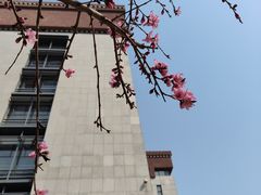 -左陕右甘(亚运村店)