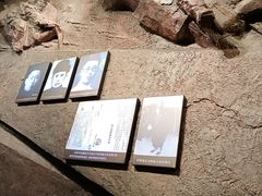 -沈阳“九·一八”历史博物馆