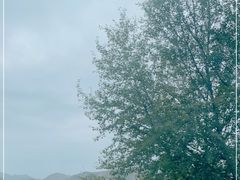 -扁都口生态休闲旅游区