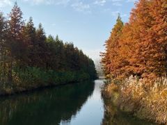 -溱湖国家湿地公园