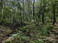 -玉渡山自然风景区