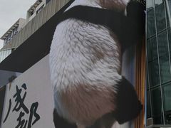-合景·悠方(成都店)