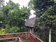 android_upload_pic-三亚亚龙湾人间天堂鸟巢度假村