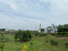 -紫颐香薰山谷景区