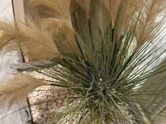 -二分八云雁阁•新晋菜大同味(长治路店)