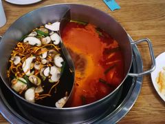 -青瓷火锅料理(西单大悦城店)