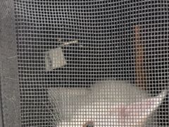 -美联众合动物医院·24h京西诊疗中心