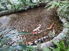 -丰台体育中心·游泳馆