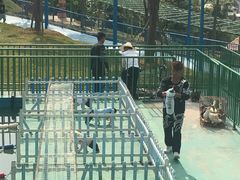 -瓷天下海丝谷