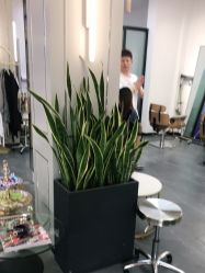 -FUTURE HN男士发型风格设计