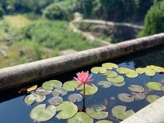 -太姥山风景名胜区