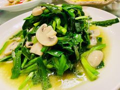 韭菜蘑菇-海江5号