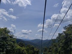 -野象谷景区