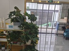 -启辰口腔(南坪店)