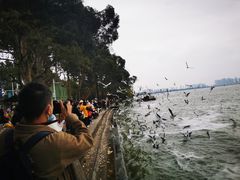 -滇池海埂公园