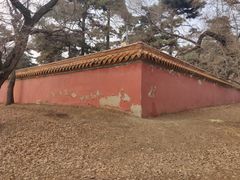 -北陵公园