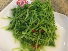 豆苗-老班长手工灌汤包老店(东山店)