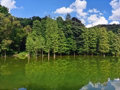 -广州市白云山风景名胜区