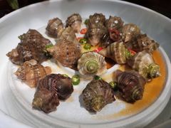 姜汁小海螺-船歌·鱼水饺青岛菜(闽江二路店)